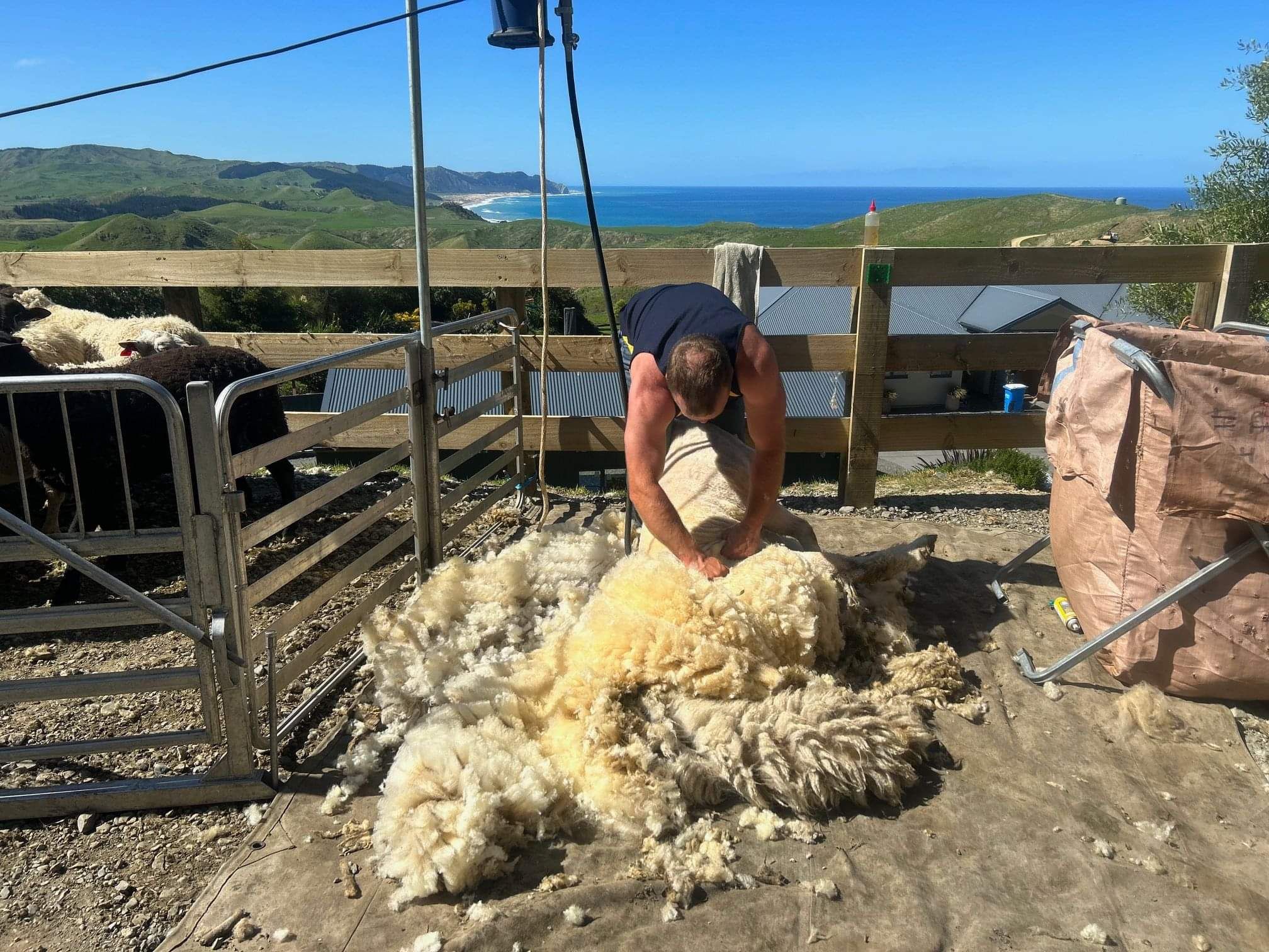 Lifestyle block maintenance