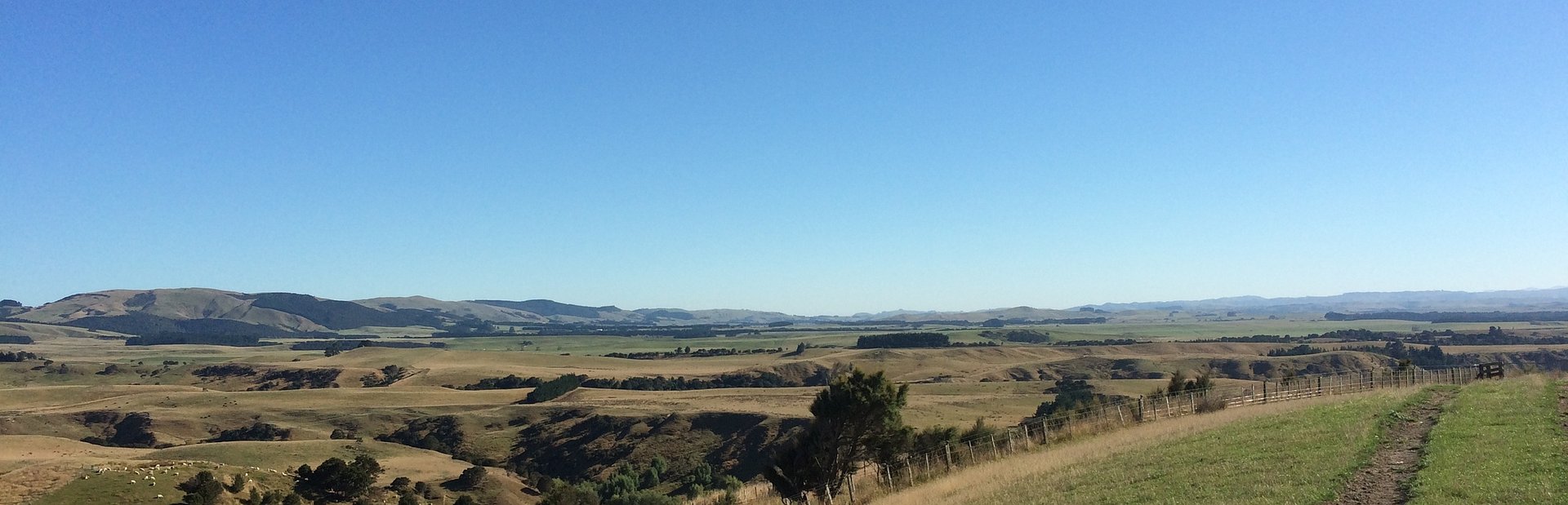 Hawke's Bay rural farmland